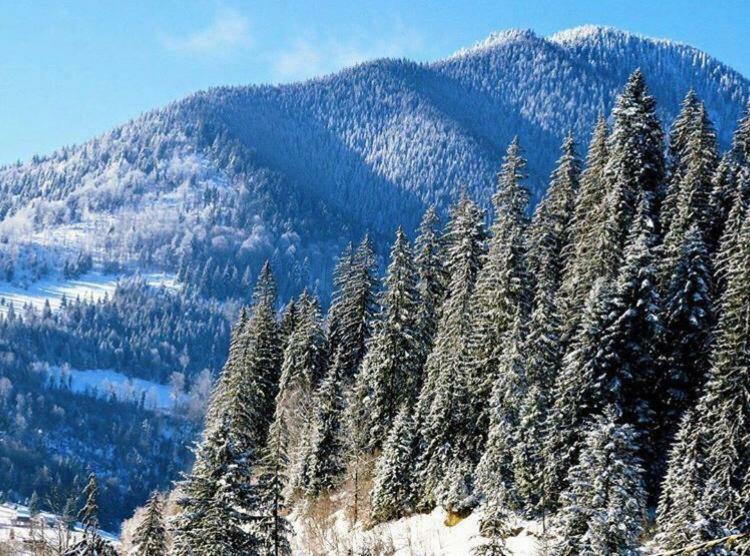 Pensiunea Turistica Tihuta Piatra Fantanele Luaran gambar